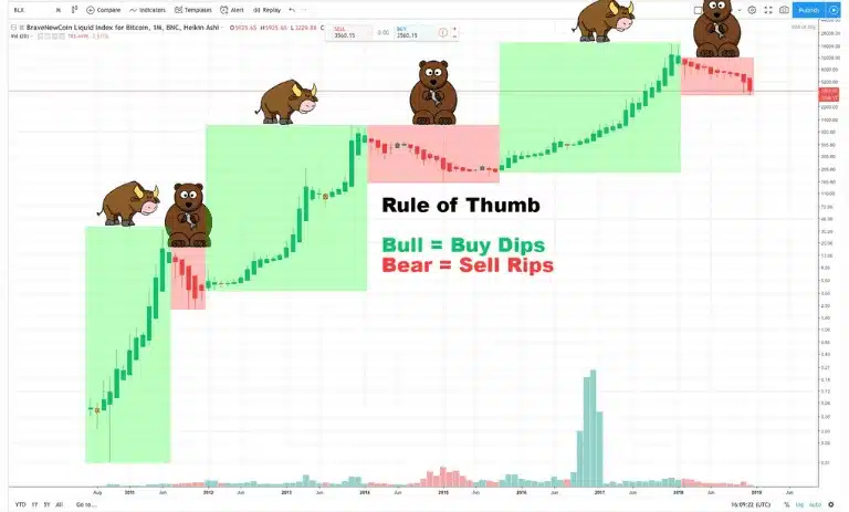 Bull Market