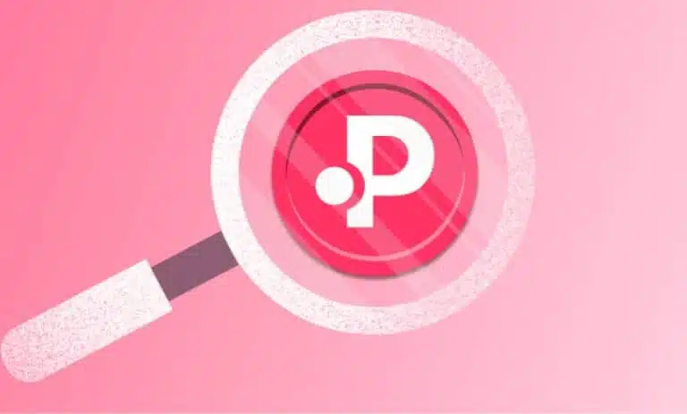 ارز دیجیتال POLS