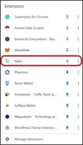 کیف پول نامی چیست؟راه اندازی Nami Wallet 6 ولت نامی