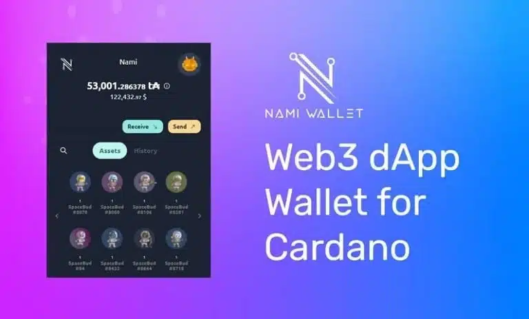 کیف پول نامی چیست؟راه اندازی Nami Wallet 3 کیف پول نامی